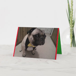 Stygga B4 listar Kort