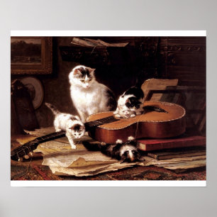 Stygga kattungar som leker gitarren poster
