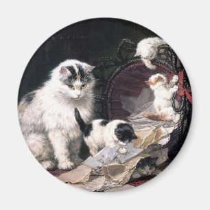 Stygga kattungekatter som leker med den magnet