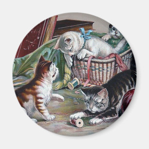 stygga kattungekatter som leker med magnet
