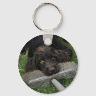 Stygga Labradoodle Nyckelring