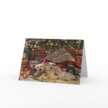 Stygga och trevliga valper