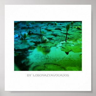 Styliserad Rosa Vatten Lily Flowers Pond Poster