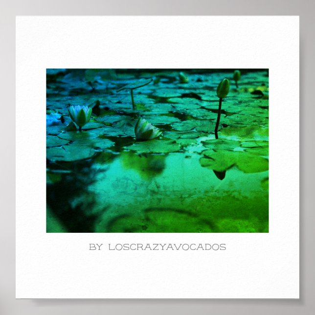 Styliserad Rosa Vatten Lily Flowers Pond Poster (Framsidan)