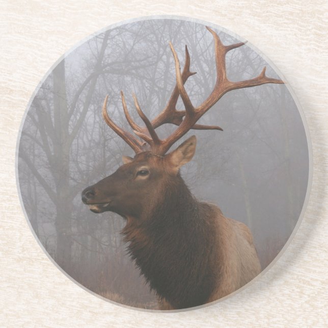 Stylish and Elegant Christmas Elk Underlägg (Framsidan)