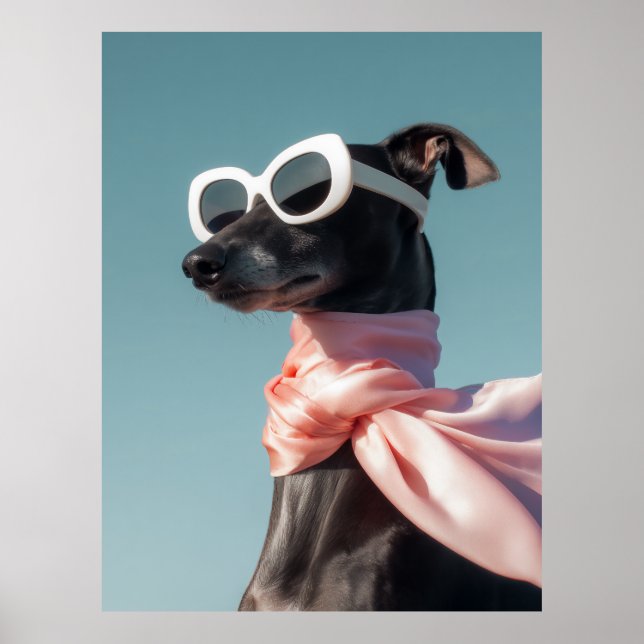 Stylish Dog With Sunglasses Scarf Poster (Framsidan)