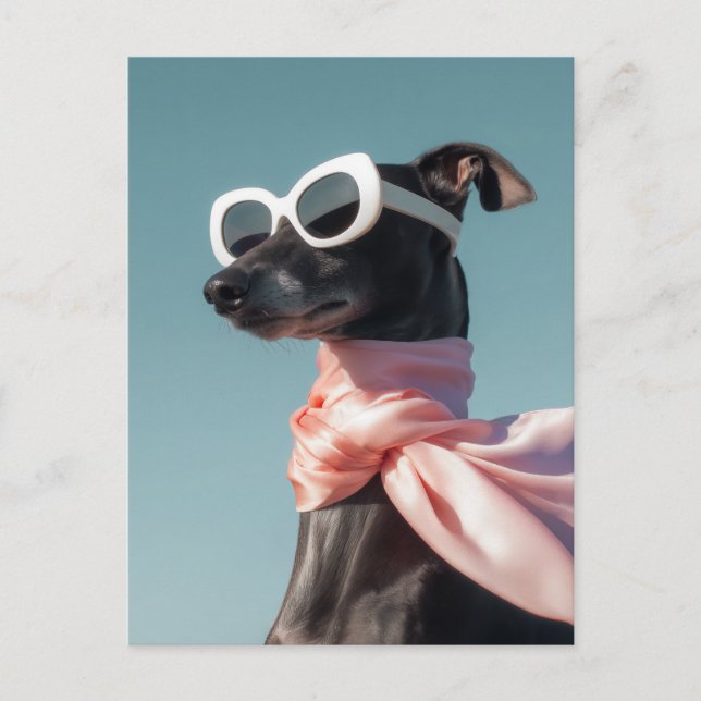 Stylish Dog With Sunglasses Scarf Vykort (Framsida)