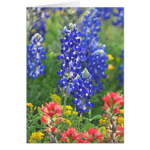 Stylized Bluebonnet Hälsningskort