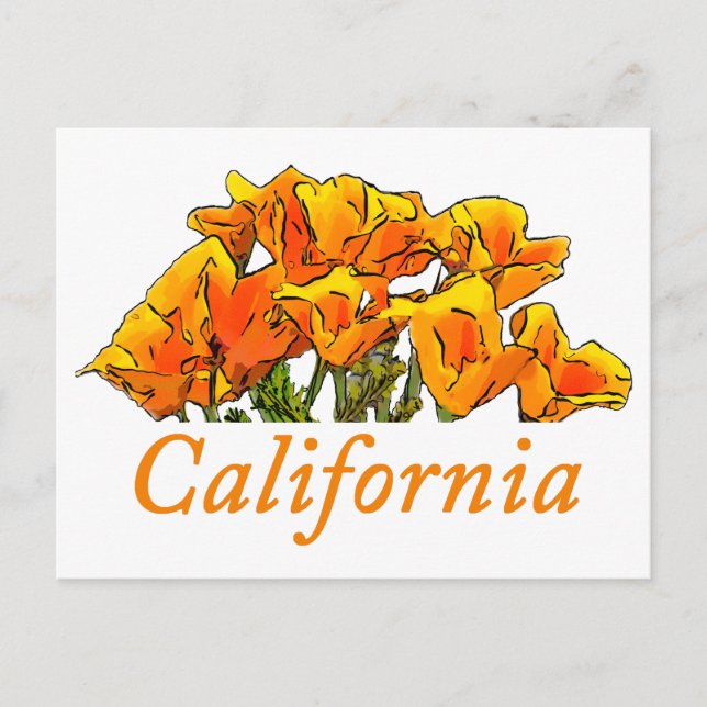 Stylized California Poppy Art, "California" text Vykort (Framsida)