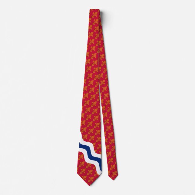 Stylized flag theme of St. Louis, Missouri Slips (Framsida)