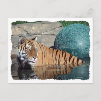 Stylized inbjudan för Bengal tiger anpassade