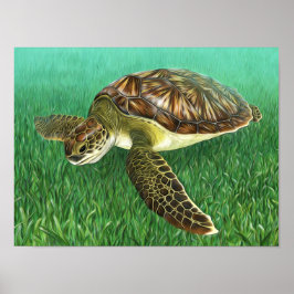 Stylized Juvenile Grönt Turtle Poster