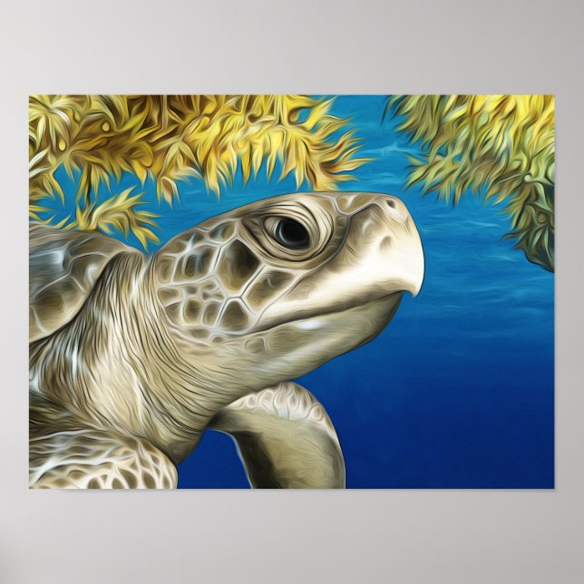 Stylized Kemp's Ridley Sea Turtle Poster (Framsidan)