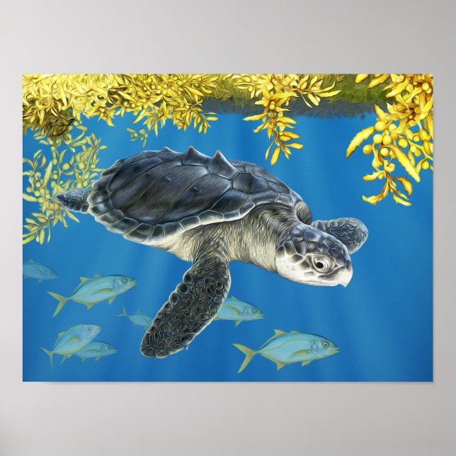 Stylized Kemp's Ridley Sea Turtle with Sargassum Poster (Framsidan)