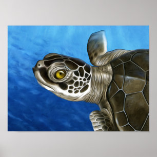 Stylized Young Grönt Turtle Poster