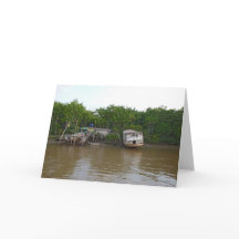 Styltahus på Amazon River