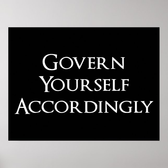 Styr Yourself följaktligen Funny Lawyer Poster (Framsidan)