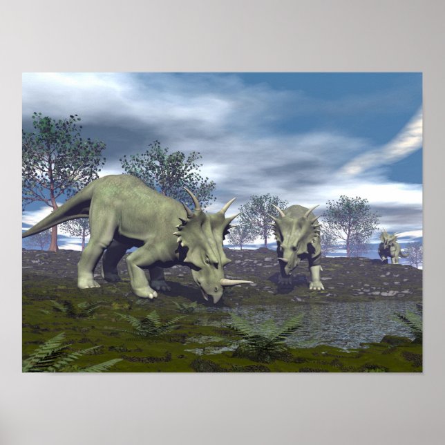 Styracosaurus dinosaurs på väg till vatten-3D-rend Poster (Framsidan)