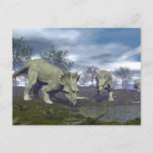 Styracosaurus dinosaurs på väg till vatten-3D-rend Vykort