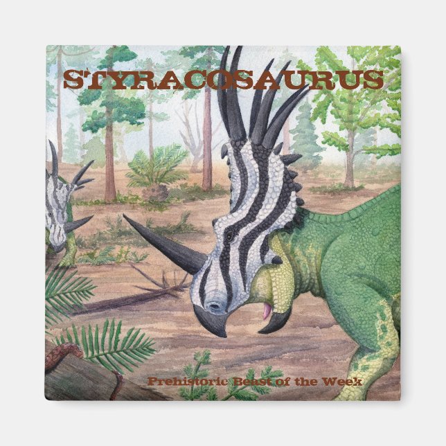 Styracosaurus Magnet (Framsidan)