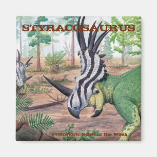 Styracosaurusmagnet Magnet