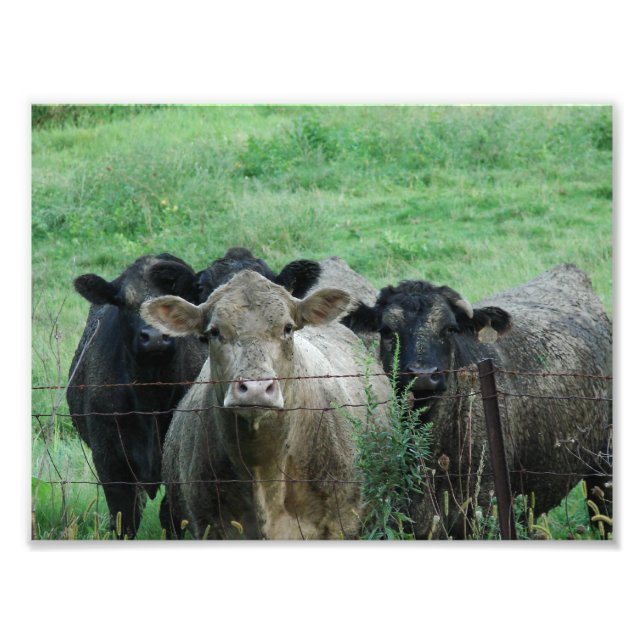 Styrarna Fototryck (Framsidan)