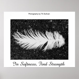 Styrka efter TDGallery Poster