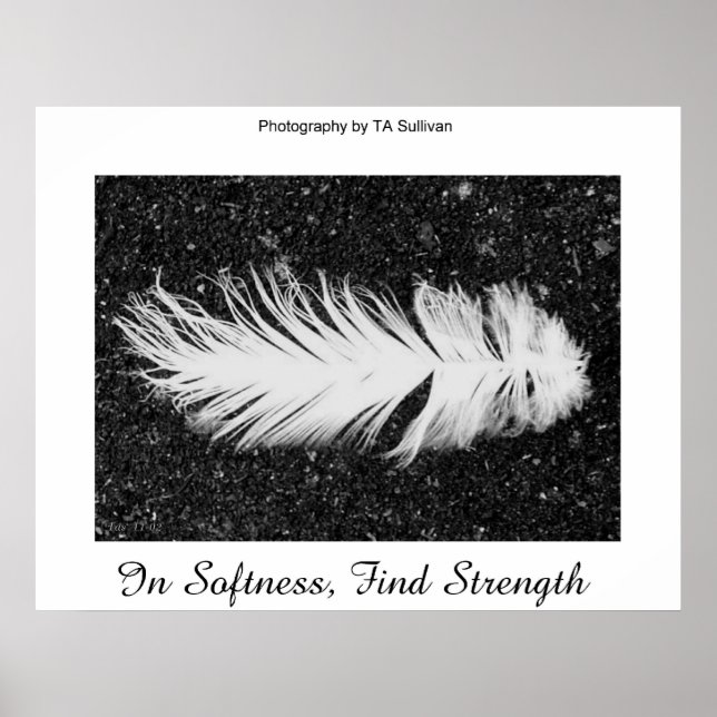 Styrka efter TDGallery Poster (Framsidan)