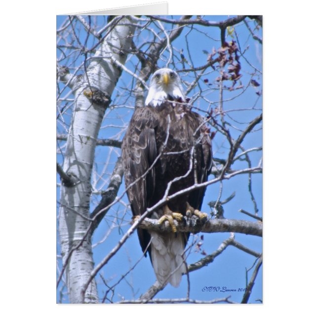 Styrka Hälsningskort (Framsidan)