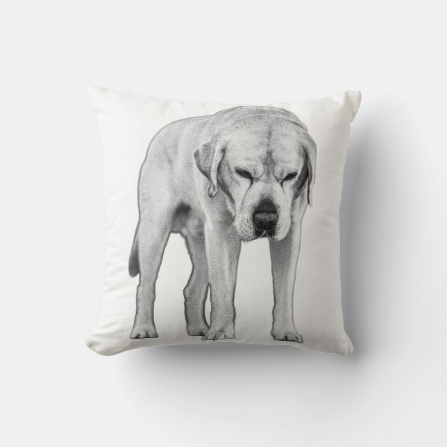 Styrka i Stillness Kudde (Framsida)