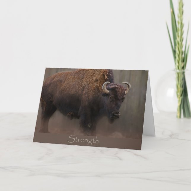 Styrka Kort (Framsida)