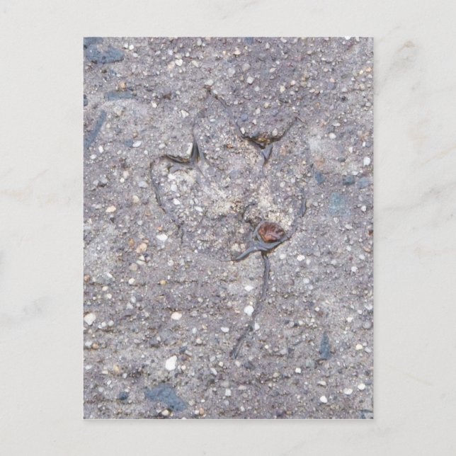 Styrkande av höst-Löv-kort Vykort (Framsida)