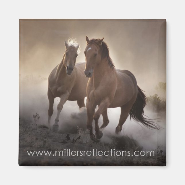 Styrlängd, magnet (Framsidan)