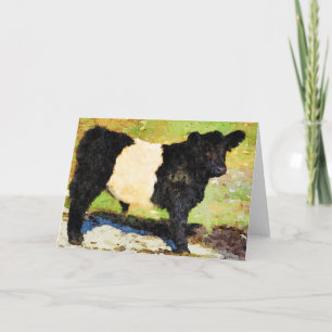 Styrstam av Belted Galloway, Tom Inside Helgkort