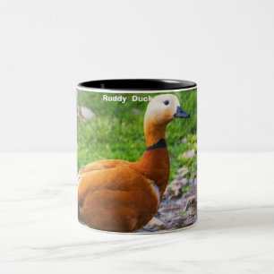 Styvstjärtad and Två-Tonad mugg