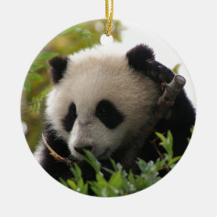 Su Lin, jätte- pandabjörnunge på den San Diego Julgransprydnad Keramik