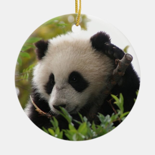 Su Lin, jätte- pandabjörnunge på den San Diego Julgransprydnad Keramik (Framsidan)