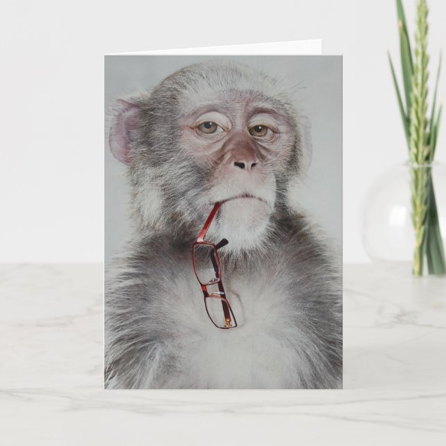 Suave Kort (Framsida)