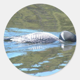 Sub Yta Sleuth Runt Klistermärke