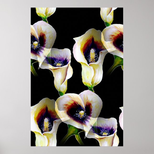 Sublime Watercolor Arum Calla Lilies Poster (Framsidan)