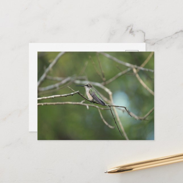 Subtle Beauty Vykort (Fram/Back In Situ)