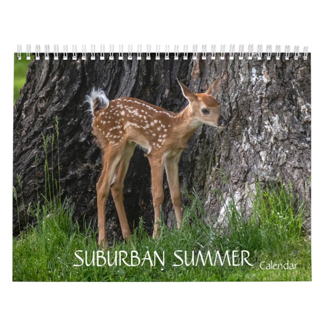 Suburban Summer Kalender (Omslag)