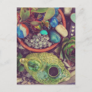 Succuland Little Garden Art Objects Vykort