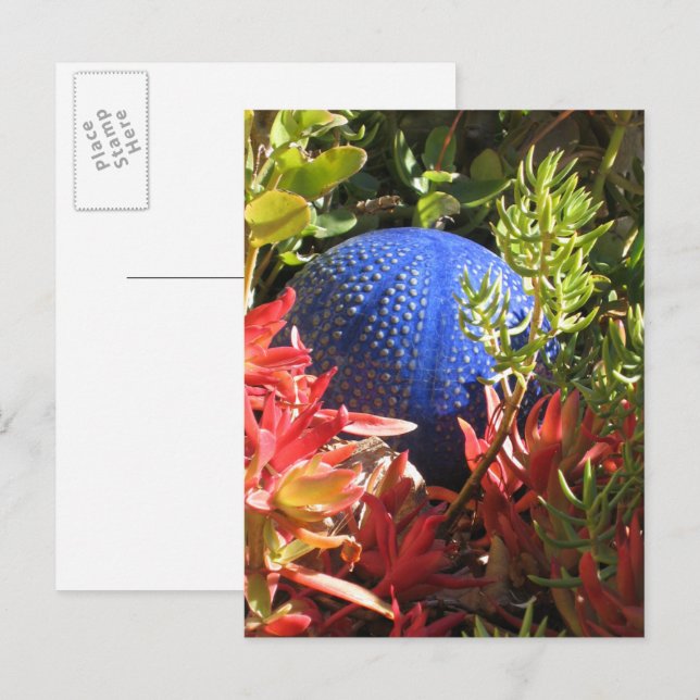 Succulary Plant Garden Blank-vykort Vykort (Fram/baksida)