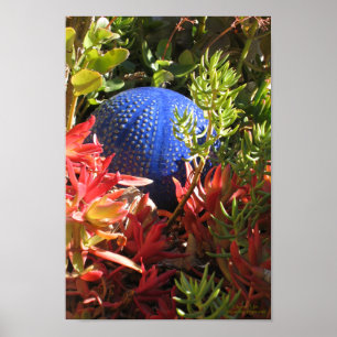 Succulary Plant Underwater Théed Garden Poster