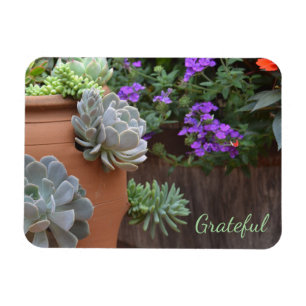 Succulent Älskare Gratitude Magnet