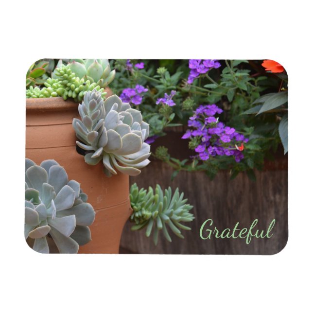 Succulent Älskare Gratitude Magnet (Horisontell)