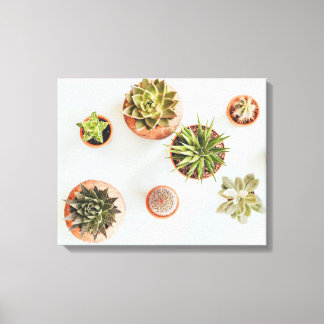 Succulent Artwork Canvastryck