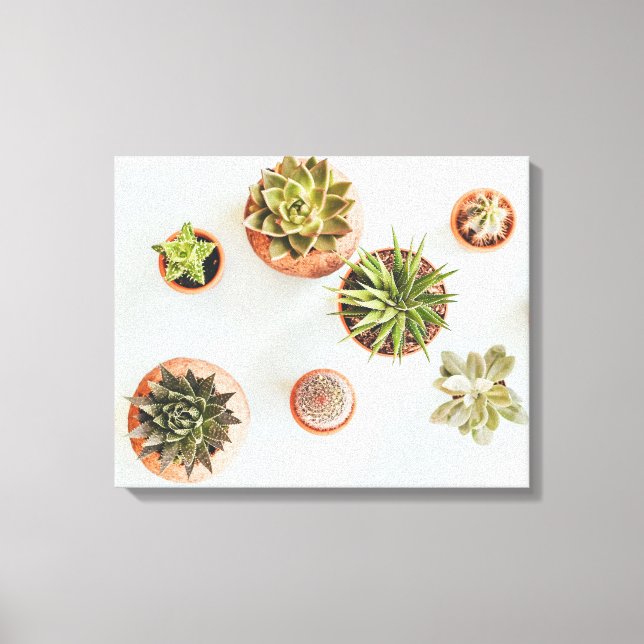Succulent Artwork Canvastryck (Framsida)