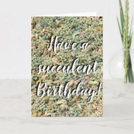 Succulent Birthday Card Kort